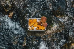 SIGG SIGG Metal Box Plus, L, aluminium