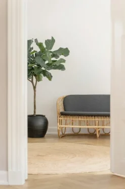 Sika-Design Swing 2-sitssoffa, naturlig rotting - mörkgrå