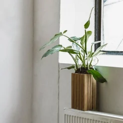 Squarely Copenhagen GrowSMALL blomkruka, mörk ek