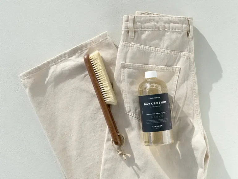 Steamery Klädborste