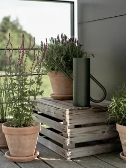 Stelton Bloom vattenkanna, tall