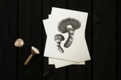 Teemu Järvi Illustrations Wild Mushroom set med miniposters, 4 st