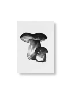 Teemu Järvi Illustrations Wild Mushroom set med miniposters, 4 st