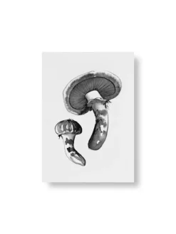 Teemu Järvi Illustrations Wild Mushroom set med miniposters, 4 st