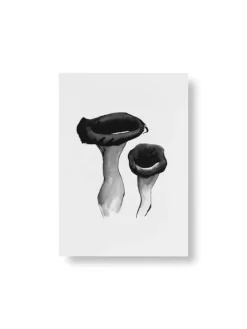 Teemu Järvi Illustrations Wild Mushroom set med miniposters, 4 st