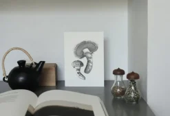 Teemu Järvi Illustrations Wild Mushroom set med miniposters, 4 st