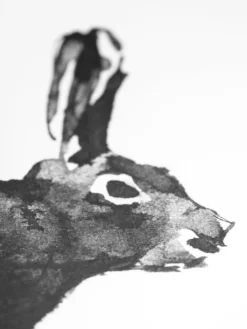 Teemu Järvi Illustrations Hare poster, 40 x 30 cm