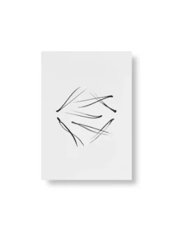 Teemu Järvi Illustrations Conifer set med miniposters, 4 st