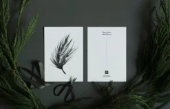 Teemu Järvi Illustrations Conifer set med miniposters, 4 st