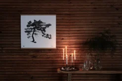 Teemu Järvi Illustrations Pine Tree poster, 50 x 50 cm