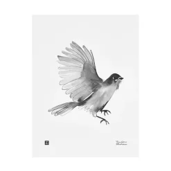 Teemu Järvi Illustrations Siberian Jay poster, 30 x 40 cm