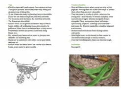 The Do Book Co Do Grow - Börja med 10 enkla grönsaker