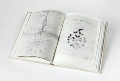 Toivo publishing Chasing Light: Archival Photographs and Drawings of Paavo Tynell