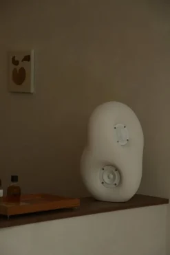 Transparent Acoustic Sculpture, vit