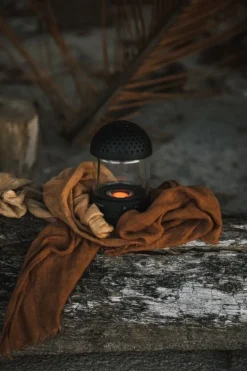 Transparent Light Speaker, svart