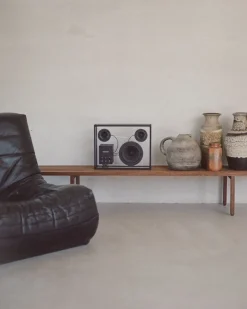 Transparent Transparent högtalare, svart