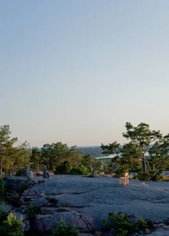 Vaarnii 001 matstol, furu