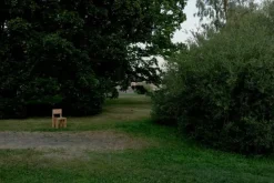 Vaarnii 001 matstol, furu