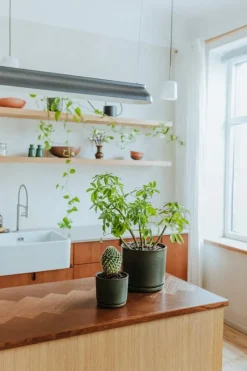 Vaidava Ceramics Moss blomkruka med fat, XL, mossgrön