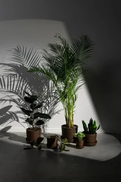 Vaidava Ceramics Soil kruka med fat, XXL, brun