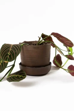 Vaidava Ceramics Soil kruka med fat, L, brun