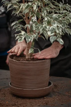 Vaidava Ceramics Soil kruka med fat, L, brun