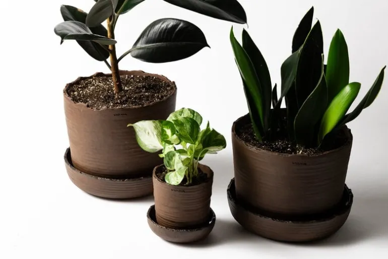 Vaidava Ceramics Soil kruka med fat; S, brun