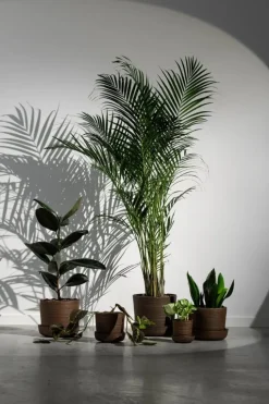 Vaidava Ceramics Soil kruka med fat, M, brun