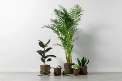 Vaidava Ceramics Soil kruka med fat, M, brun