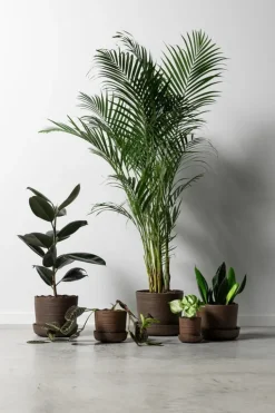 Vaidava Ceramics Soil kruka med fat, M, brun