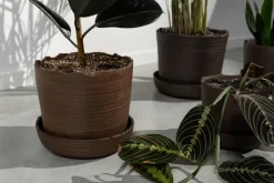 Vaidava Ceramics Soil kruka med fat, M, brun