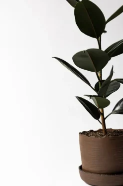 Vaidava Ceramics Soil kruka med fat, XL, brun