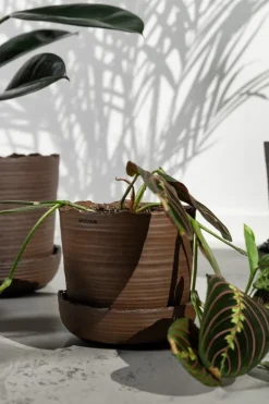 Vaidava Ceramics Soil kruka med fat, XL, brun