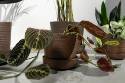 Vaidava Ceramics Soil kruka med fat, XL, brun