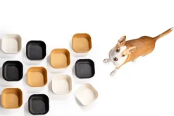 Venandi Design Pet Bowl, kolsvart