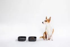 Venandi Design Pet Bowl, kolsvart