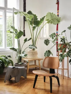 Vitra Eames Elephant, plywood, grå