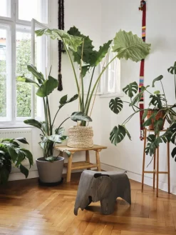 Vitra Eames Elephant, plywood, grå