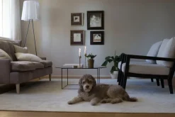 VM Carpet Hattara matta, vit, smal bård