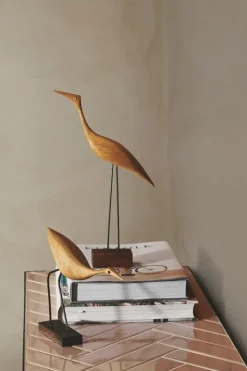 Warm Nordic Beak Bird, Lång Häger, ek