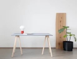 Wooden Treehorse benbockar, ask