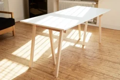 Wooden Treehorse benbockar, ask